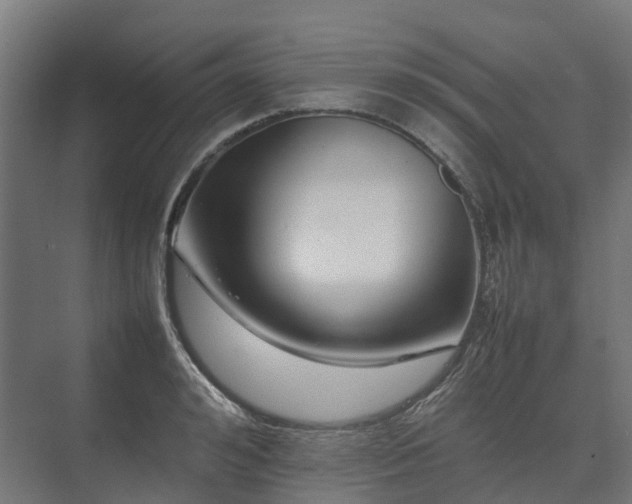 X0000075360992200609151632