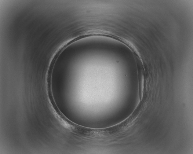 X0000075360995200609151632