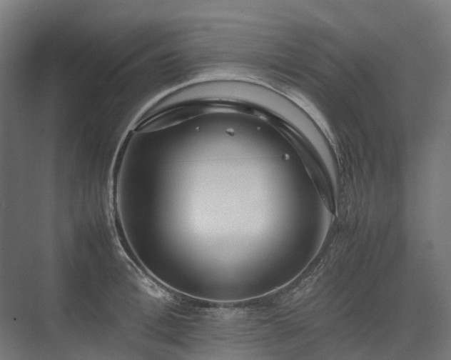 X0000075360996200609151632