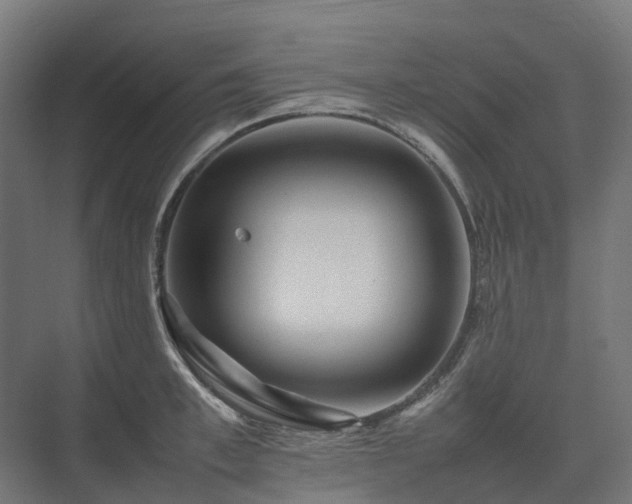 X0000075360997200609151632