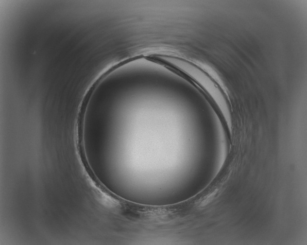 X0000075360999200609151632