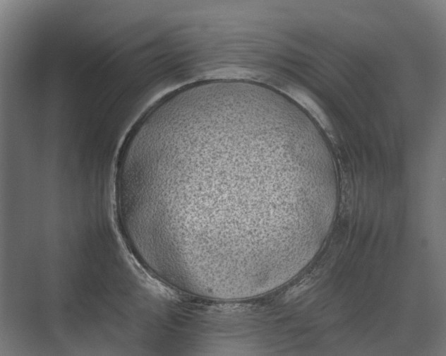 X0000075361000200609151632