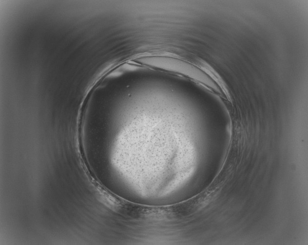 X0000075361002200609151632