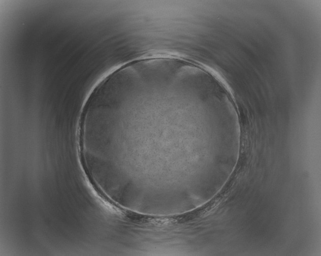 X0000075361003200609151632