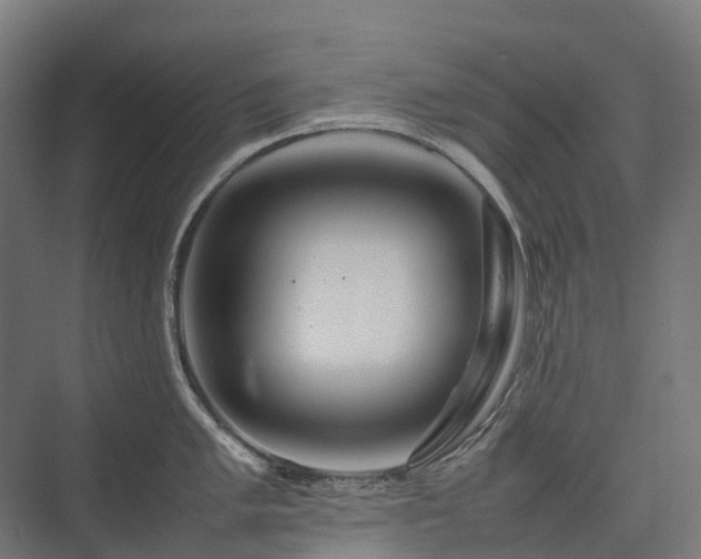 X0000075361005200609151632