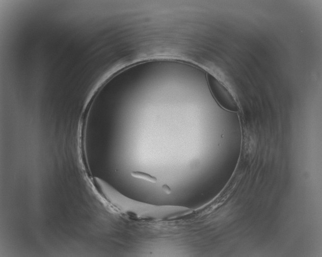 X0000075361006200609151632