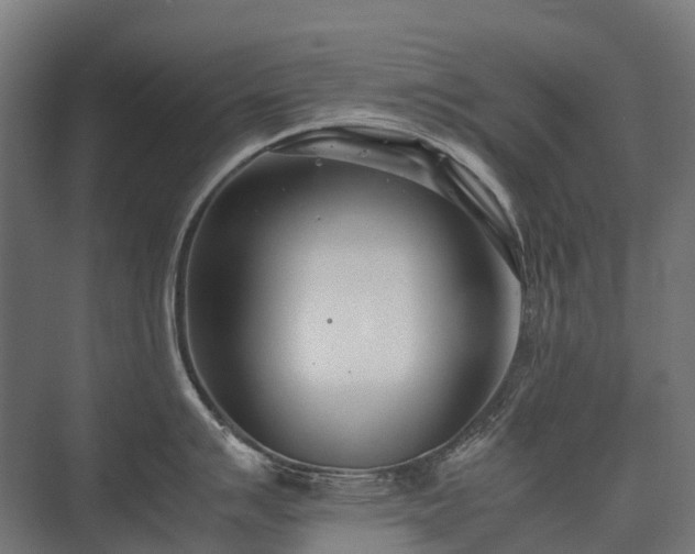 X0000075361007200609151632