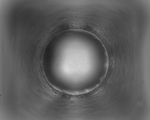 X0000075361009200609151631