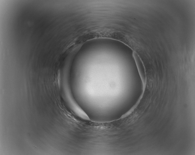 X0000075361010200609151631