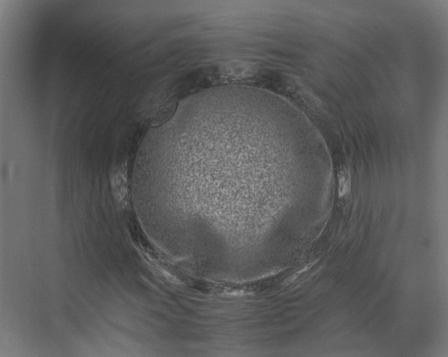 X0000075361011200609151631