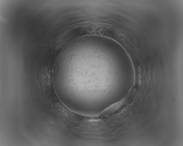 X0000075361013200609151631