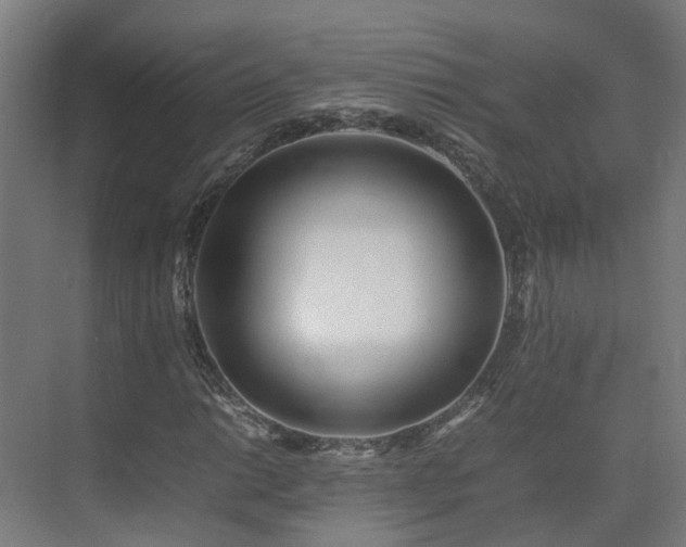 X0000075361014200609151631