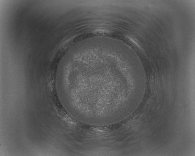 X0000075361015200609151631