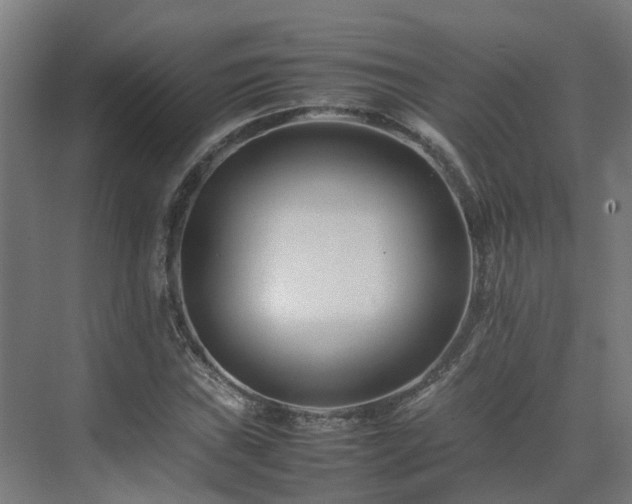 X0000075361019200609151631