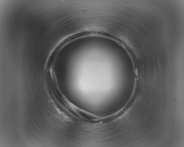 X0000075361022200609151631