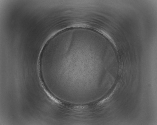 X0000075361037200609151631