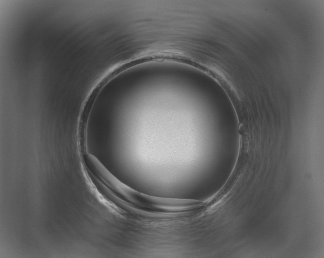 X0000075361038200609151631