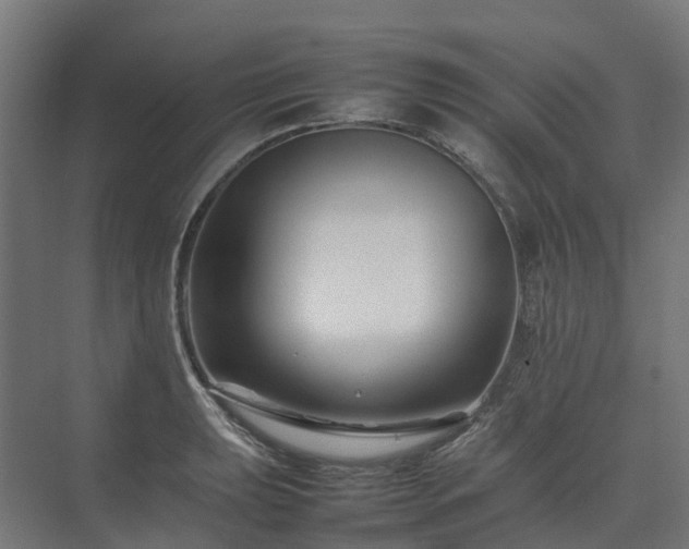 X0000075361039200609151631