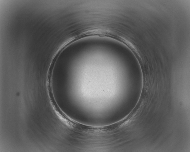 X0000075361042200609151631