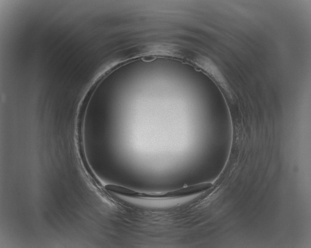 X0000075361043200609151632