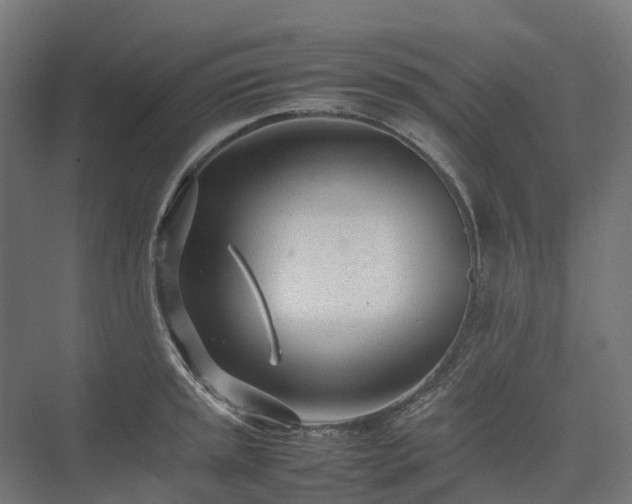 X0000075361045200609151632