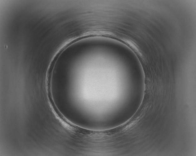 X0000075361046200609151632