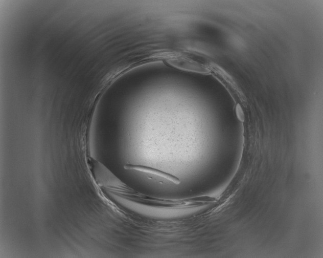 X0000075361049200609151632