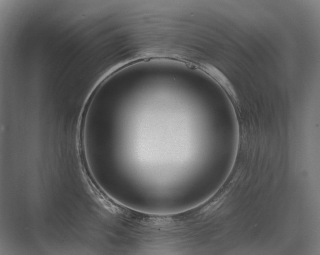 X0000075361052200609151632