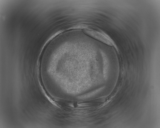 X0000075361053200609151632