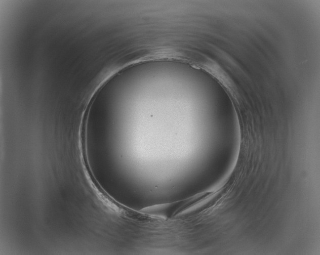 X0000075361055200609151632