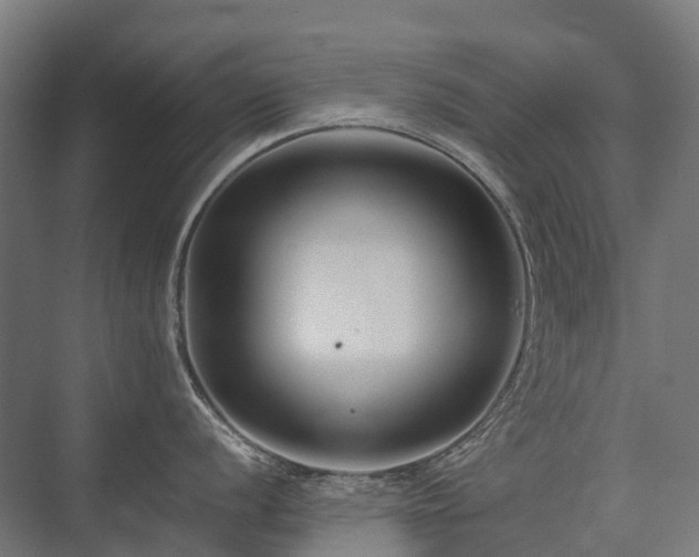 X0000075361056200609151632