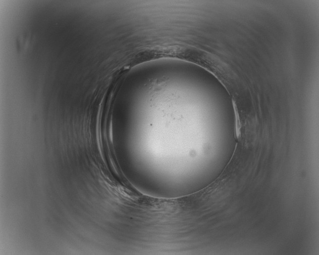 X0000075361058200609151631