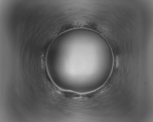 X0000075361059200609151631