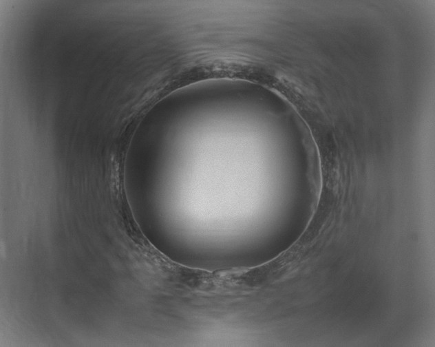 X0000075361061200609151631