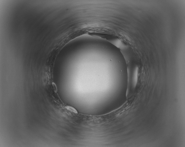 X0000075361062200609151631