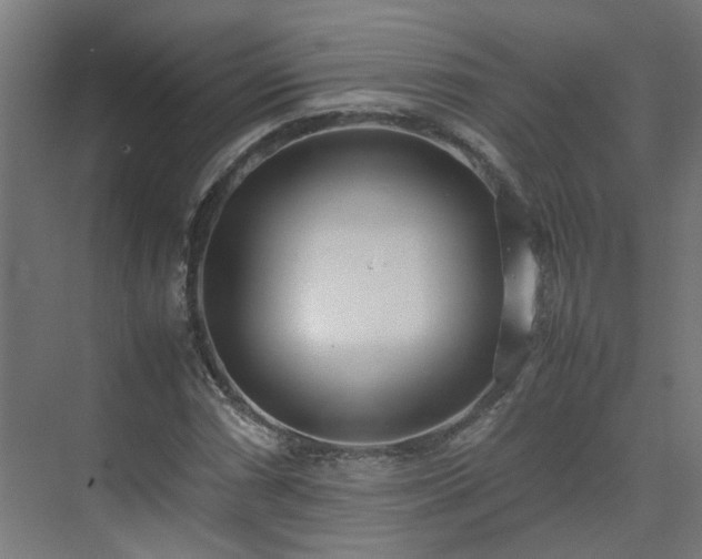 X0000075361066200609151631