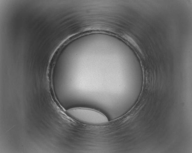 X0000075361068200609151631