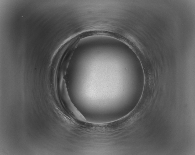 X0000075361069200609151631