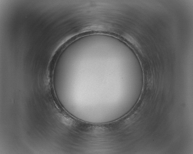 X0000075361070200609151631