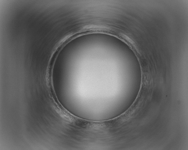 X0000075361074200609151631