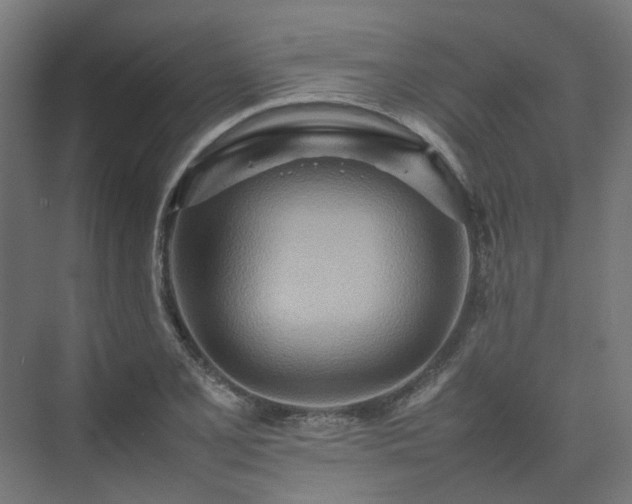 X0000075361077200609151631