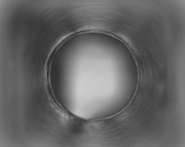 X0000075361078200609151631