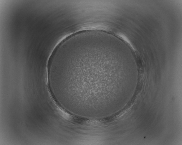 X0000075361079200609151631