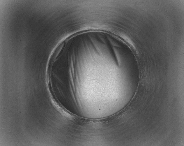 X0000075361080200609151631