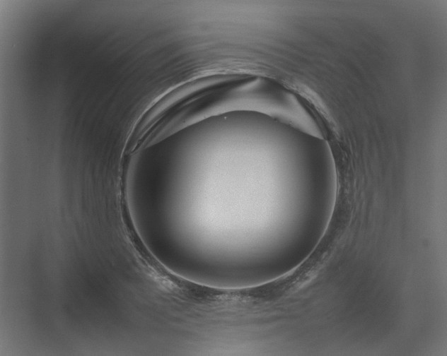 X0000075361081200609151631