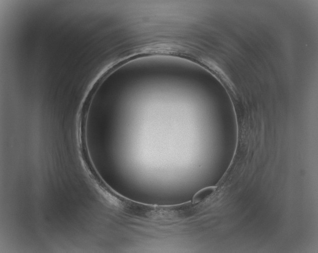 X0000075361083200609151630