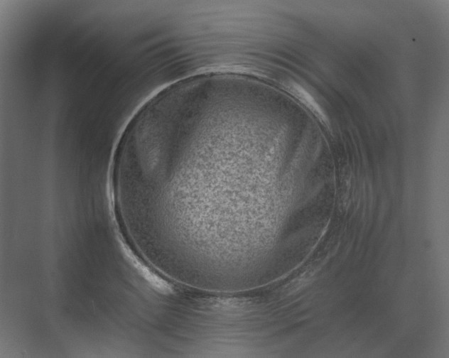 X0000075361084200609151630