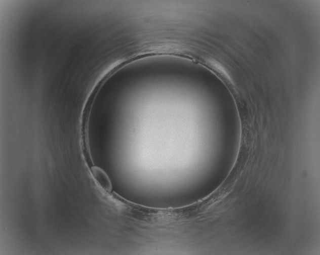 X0000075361087200609151630