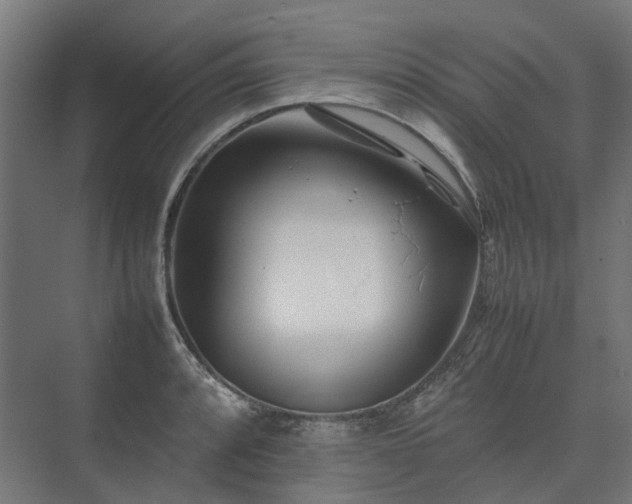 X0000075361088200609151630