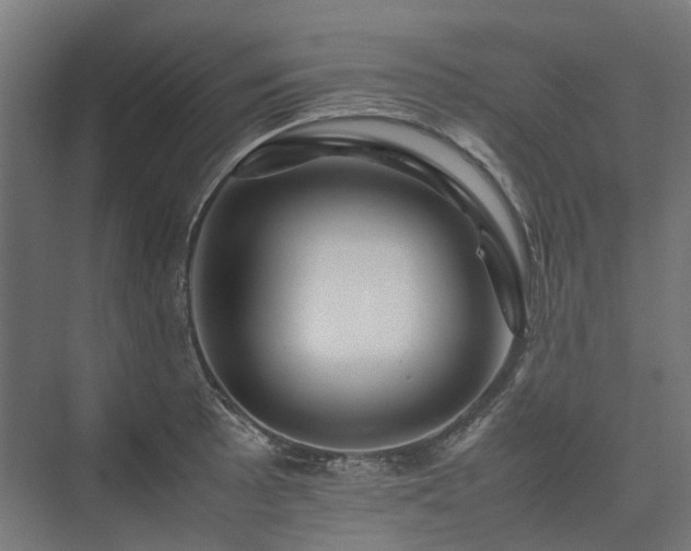 X0000075361089200609151630